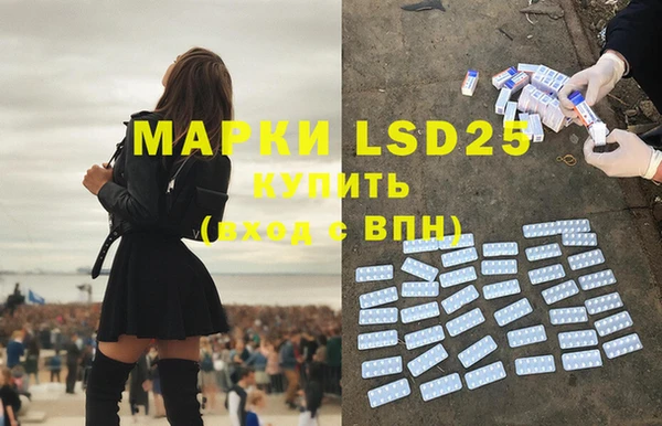 spice Бородино