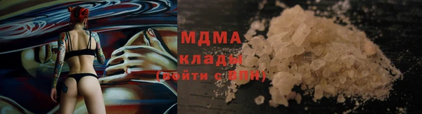 spice Бородино