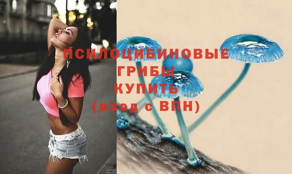 spice Бородино